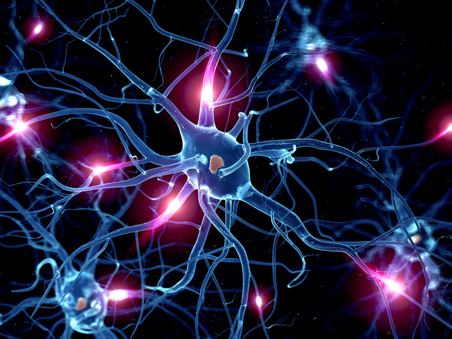 NeuronalesNetz